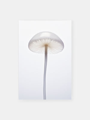White Mushroom Brilliance Poster